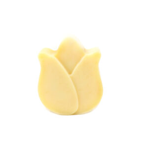 TULIPANO